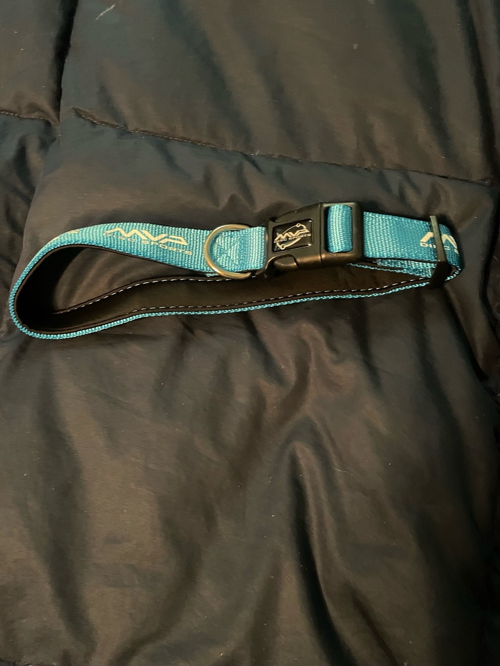 Teal Dog Collar with Wave Logo